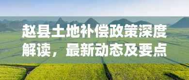 赵县土地补偿政策深度解读,最新动态及要点剖析