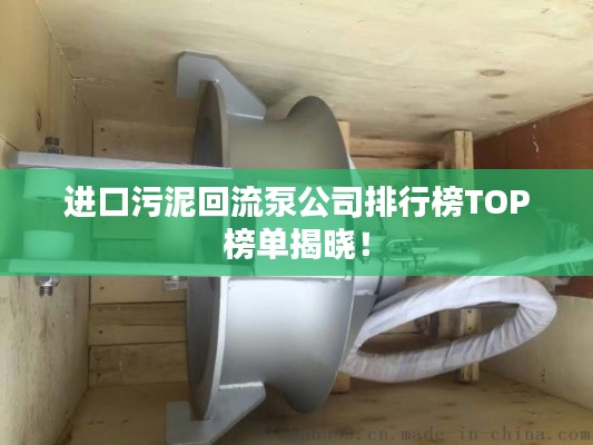 进口污泥回流泵公司排行榜TOP榜单揭晓!