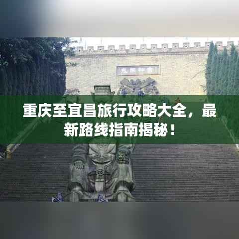 成功案例 第135页