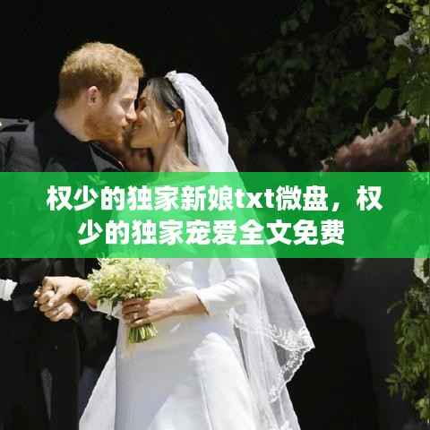 权少的独家新娘txt微盘,权少的独家宠爱全文免费