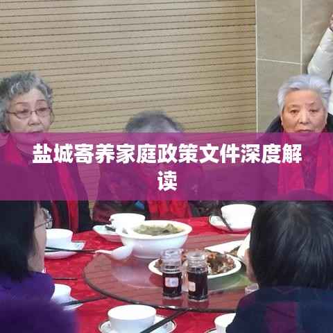 盐城寄养家庭政策文件深度解读