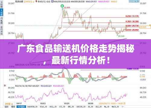 广东食品输送机价格走势揭秘,最新行情分析!