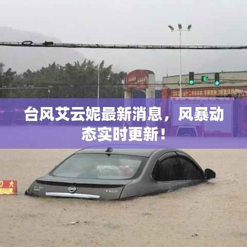 台风艾云妮最新消息,风暴动态实时更新!