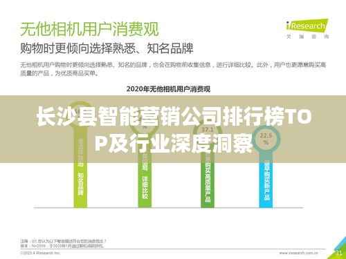 长沙县智能营销公司排行榜TOP及行业深度洞察