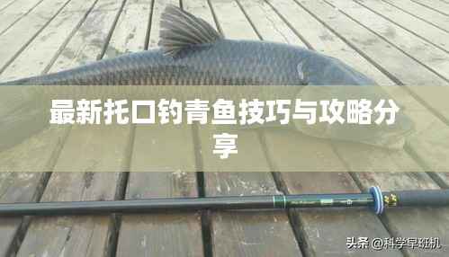 听见风就是雨 第2页