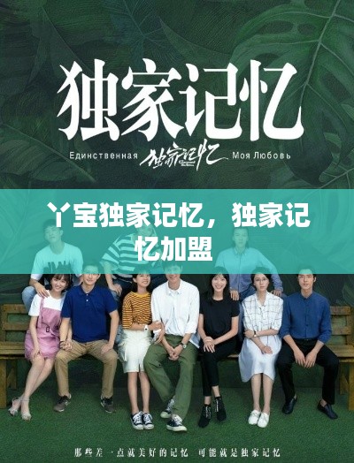 丫宝独家记忆,独家记忆加盟