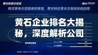 黄石企业排名大揭秘,深度解析公司影响力与实力