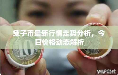 兔子币最新行情走势分析,今日价格动态解析