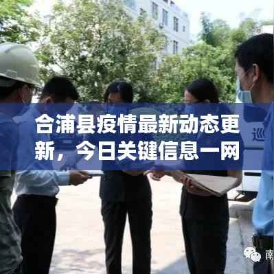 合浦县疫情最新动态更新,今日关键信息一网打尽