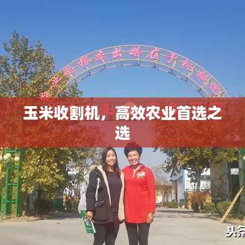 玉米收割机,高效农业首选之选