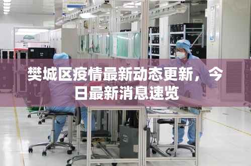 樊城区疫情最新动态更新，今日最新消息速览