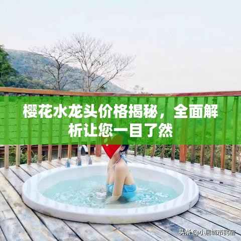 樱花水龙头价格揭秘，全面解析让您一目了然