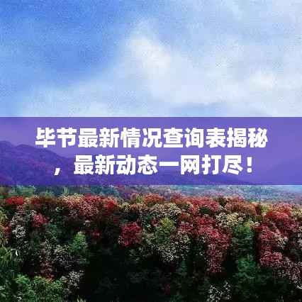 毕节最新情况查询表揭秘,最新动态一网打尽!